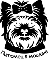 Питомец в машине (йорк)