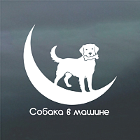 Наклейка на стекло автомобиля Собака в машине