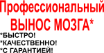 Профессиональный вынос мозга
